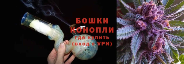 стафф Няндома