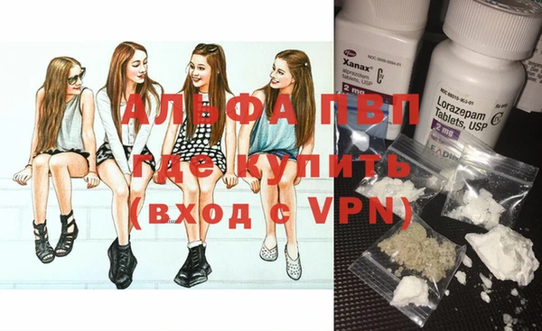 стафф Чегем