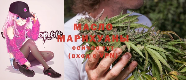 стаф Аркадак