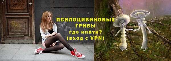 эйфоретик Абинск