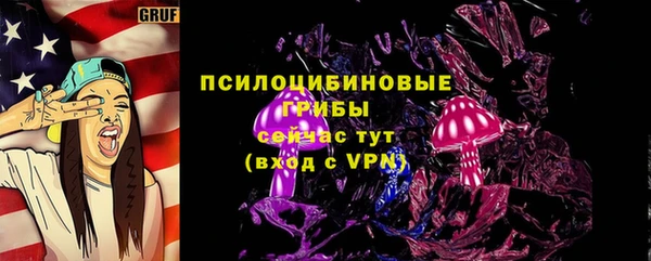 сатива Нягань