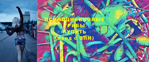 стафф Няндома
