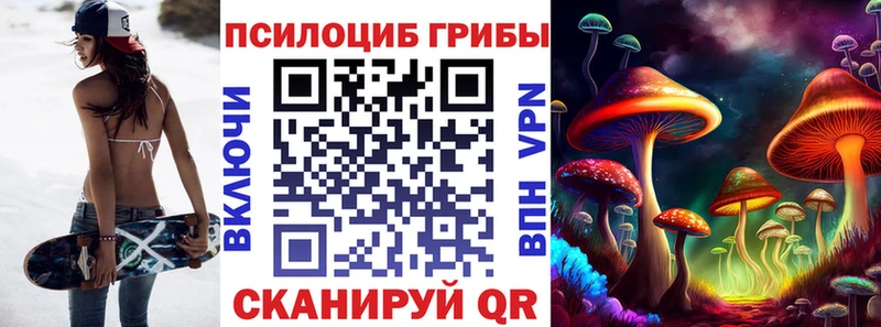 Псилоцибиновые грибы мицелий  закладка  Южа 