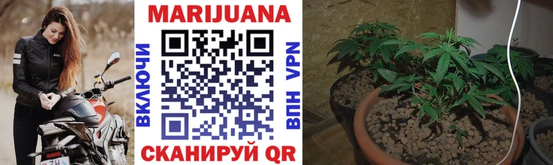 мориарти Telegram  Южа  Бошки марихуана VHQ 